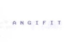 Angifit Device mark 1052860 Trademark