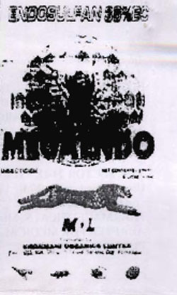 Megaendo Device mark 1108426 Trademark