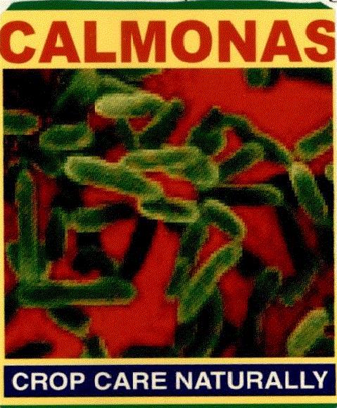 Calmonas (label) Device mark 1578197 Trademark
