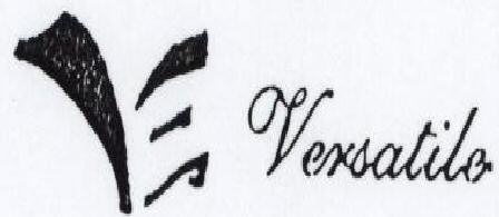 Versatile Device mark 1599827 Trademark