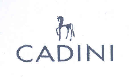 Cadini (device) Device mark 1711000 Trademark