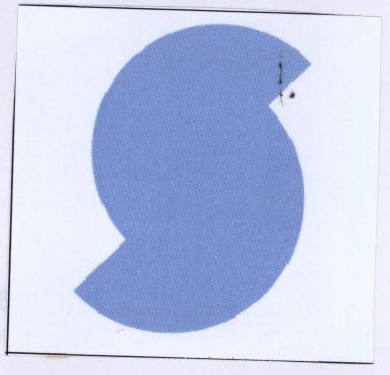 S Device mark 1972341 Trademark