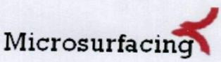 Microsurfacing Device mark 2000479 Trademark