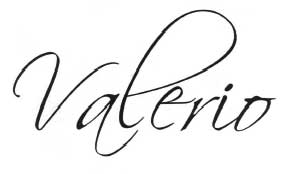 Valerio Device mark 2168995 Trademark