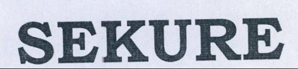 Sekure Device mark 2182761 Trademark