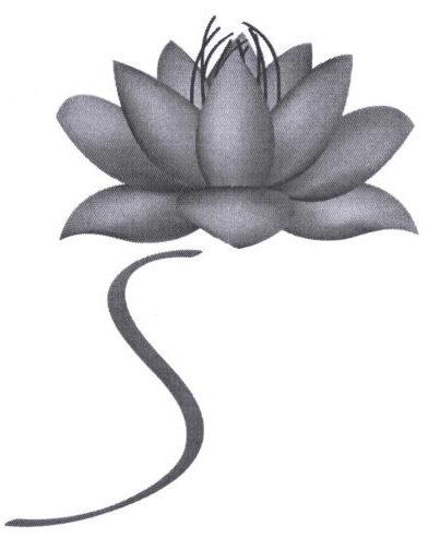 S Device mark 2224571 Trademark