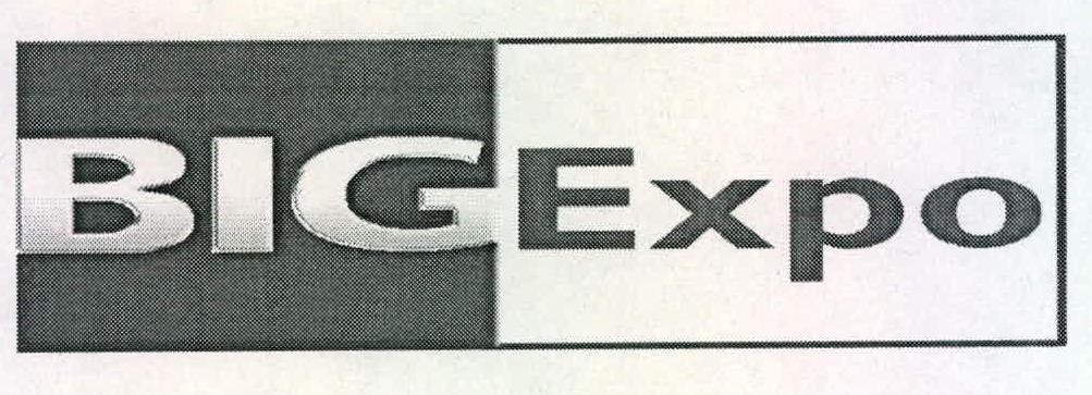 Big Expo Device mark 2228963 Trademark