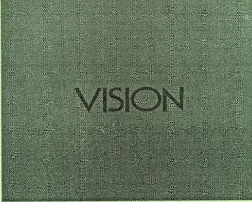 Vision Device mark 2295232 Trademark