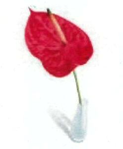 Logo Device mark 2335644 Trademark