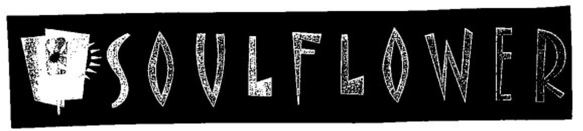 Soulflower Device mark 2432490 Trademark