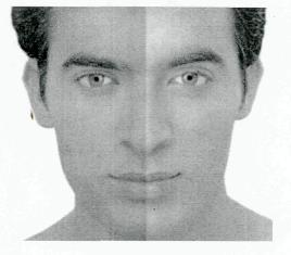 Device Of Man Face Device mark 2434835 Trademark