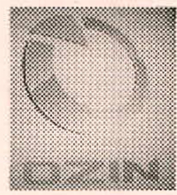 O With Word Ozin Device mark 2492143 Trademark