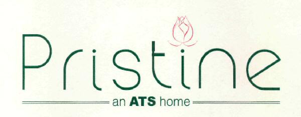 Pristine (device) Device mark 2534249 Trademark