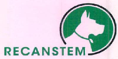 Recanstem (device Of Dog) Device mark 2547336 Trademark