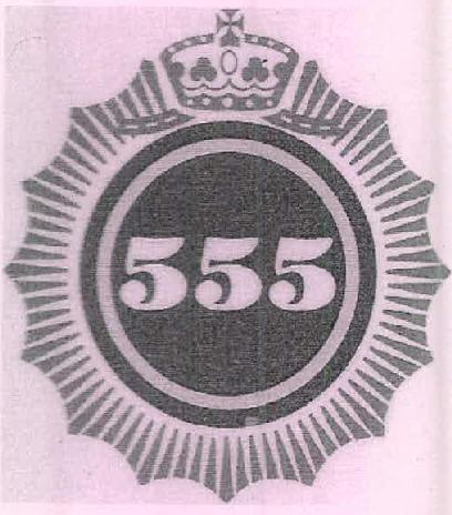 555 Device mark 2641738 Trademark