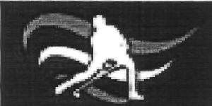 Device Device mark 2682977 Trademark