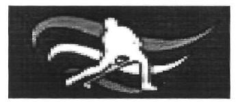 Device Device mark 2682979 Trademark