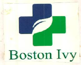 Boston Ivy Device mark 2754515 Trademark