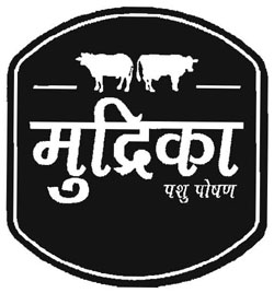 Mudrika With Device Of Two Cow Device mark 2931966 Trademark