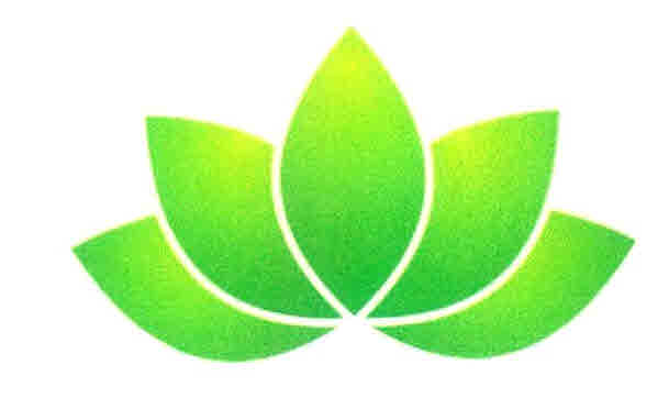 Device Device mark 2972302 Trademark