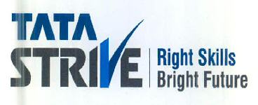 Tata Strive Right Skills Bright Future Device mark 2981868 Trademark