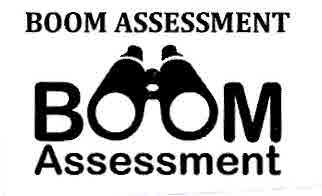 Boom Assessment Device mark 3000394 Trademark