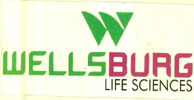 Wellsburg Life Sciences Device mark 3146737 Trademark