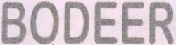 Bodeer Device mark 3192895 Trademark
