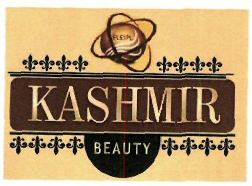 Kashmir Beauty Device mark 3294618 Trademark