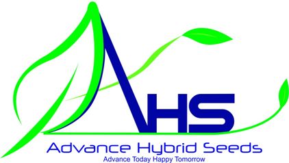 Advance Hybrid Seeds With Device Ahs Device mark 3331849 Trademark