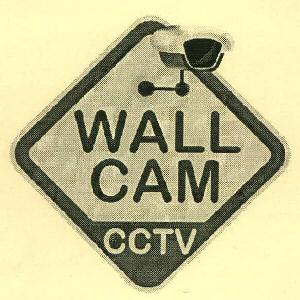 Wall Cam Cctv Device mark 3528036 Trademark