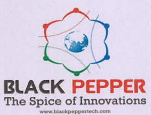 Black Pepper The Spice Of Innovations Device mark 3528236 Trademark