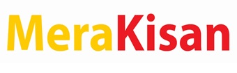 Merakisan Logo Device mark 3879980 Trademark