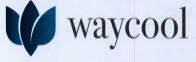 Waycool Device mark 4223129 Trademark