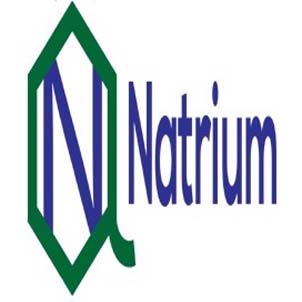 Natrium Device mark 4256821 Trademark