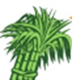 Sugarcane-logo Device mark 4697685 Trademark
