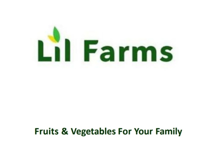Lil Farms Fruits & Vegetables For Your Family Device mark 4919736 Trademark
