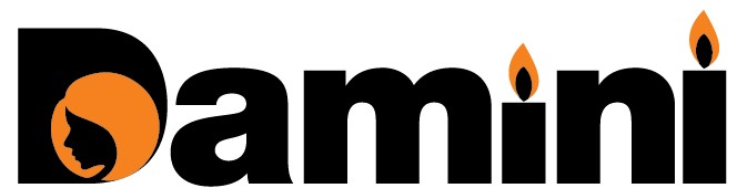 Damini Logo Device mark 5077350 Trademark