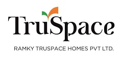 Truspace Device mark 5184553 Trademark