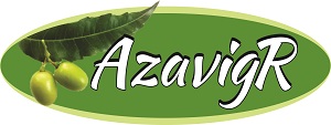 Azavigr Device mark 5294415 Trademark