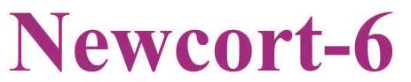 Newcort-6 Device mark 5335069 Trademark