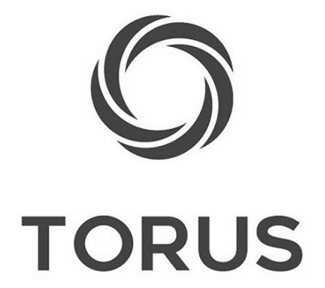 Torus Device mark 5572256 Trademark