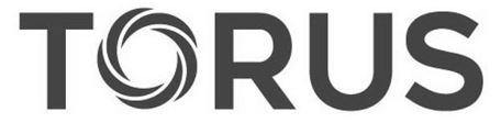 Torus Device mark 5572262 Trademark