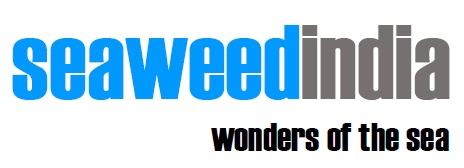 Seaweedindia Wonders Of The Sea Device mark 5623213 Trademark