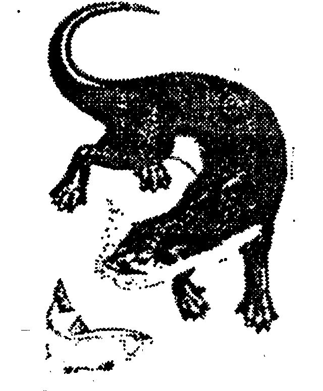 (device) Device mark 590227 Trademark