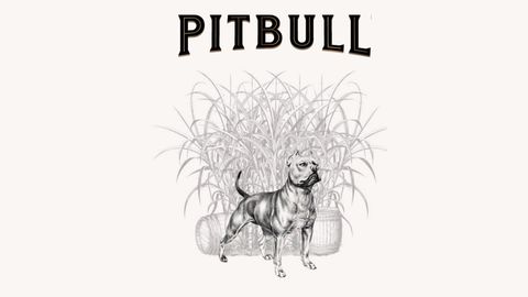 Pitbull Device mark 5940286 Trademark