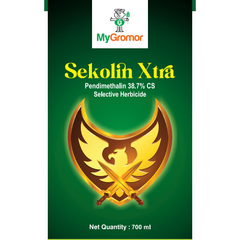 Sekolin Xtra Device mark 5986828 Trademark