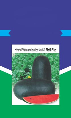 Hybrid Water Melon Ice Box F-1 Moti Plus Device mark 6011044 Trademark