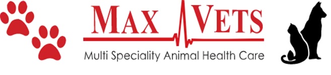 Max Vets Device mark 6072690 Trademark