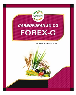 Forex-g Device mark 6197983 Trademark